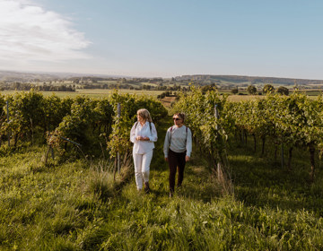 Twee vrouwen verlaten de wijngaard van Wijndomein Steenberg in Epen met uitzicht op de heuvels