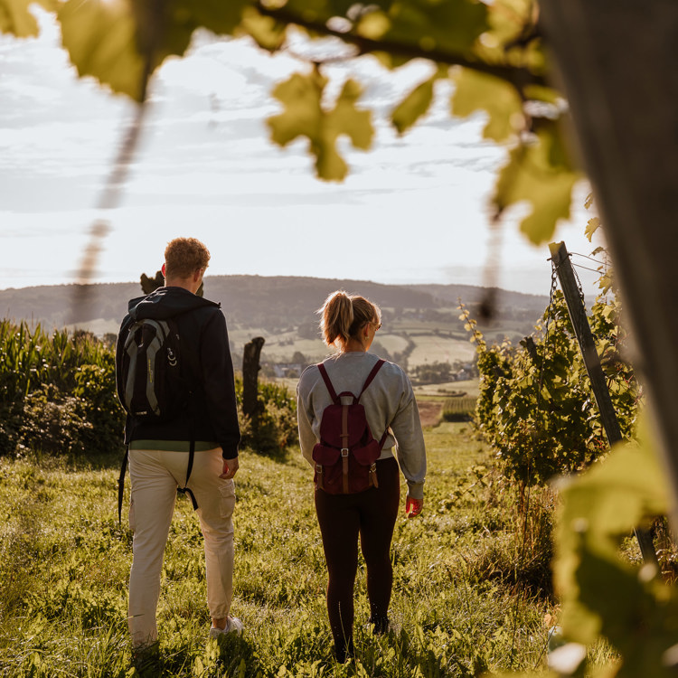 Vanachter een wijnblad lopen een man en vrouw langs de wijngaarden van Domein Steenberg