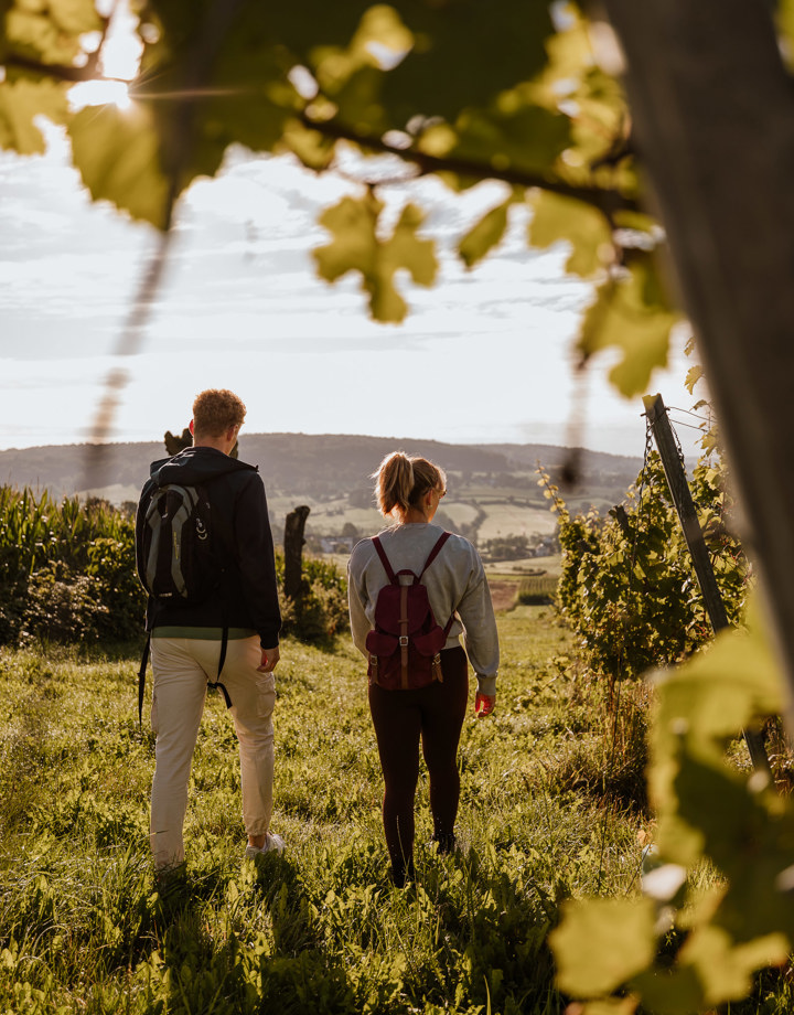 Vanachter een wijnblad lopen een man en vrouw langs de wijngaarden van Domein Steenberg