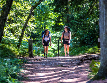 Twee backpackers wandelen door het bos bij het Drielandenpunt