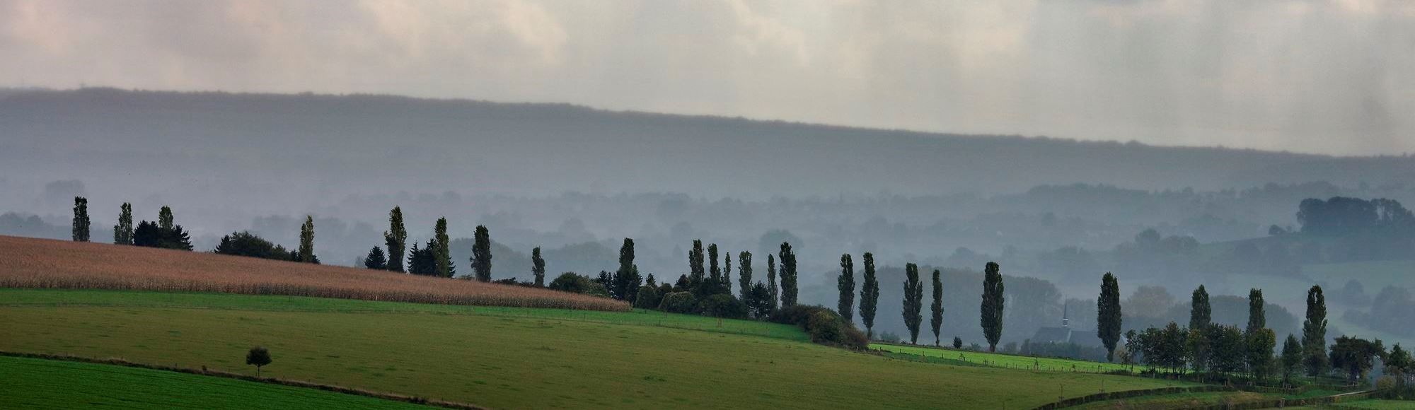 Landschap Toscana In Limburg