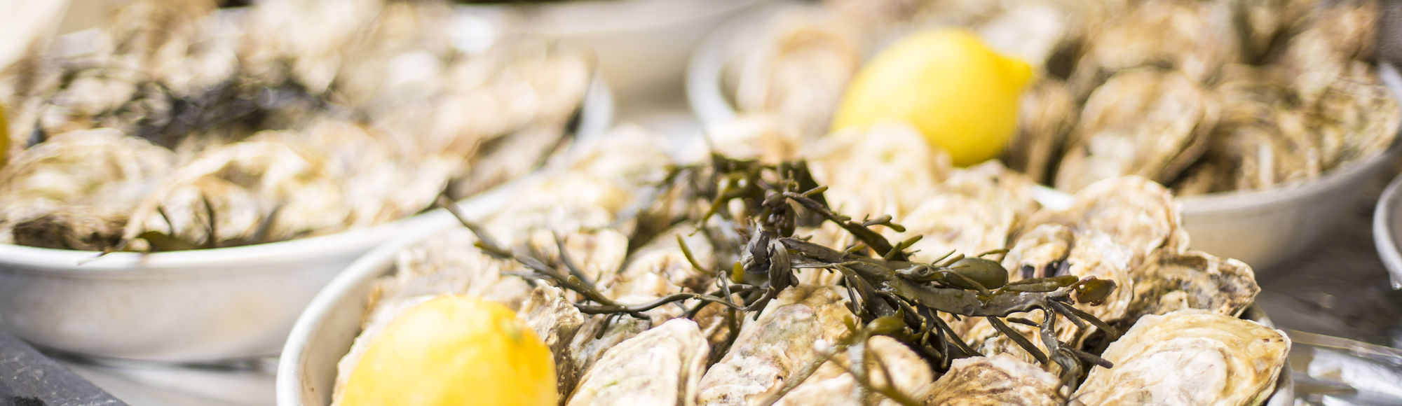 Borden met oesters en citroenen 