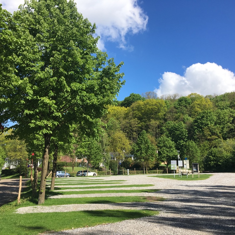 Lege camperplaats tussen de bomen in.