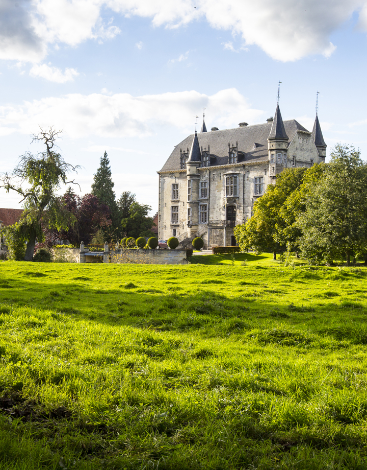 Aanzicht van Kasteel Schaloen met grasveld op de voorgrond