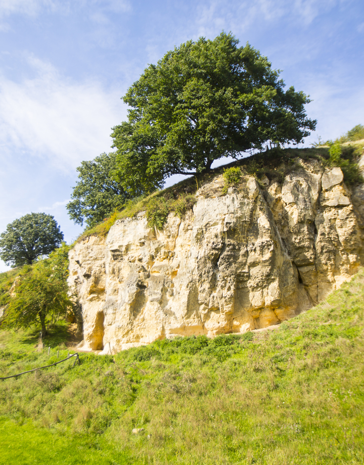 Mergelrots op Bemelerberg 