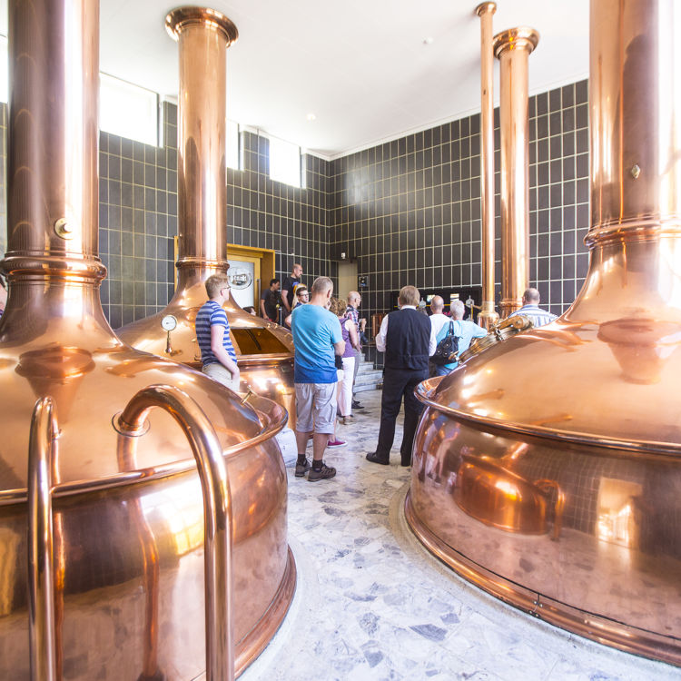 Uitleg Brouwproces Tijdens Rondleiding Brand Bierbrouwerij In Wijlre