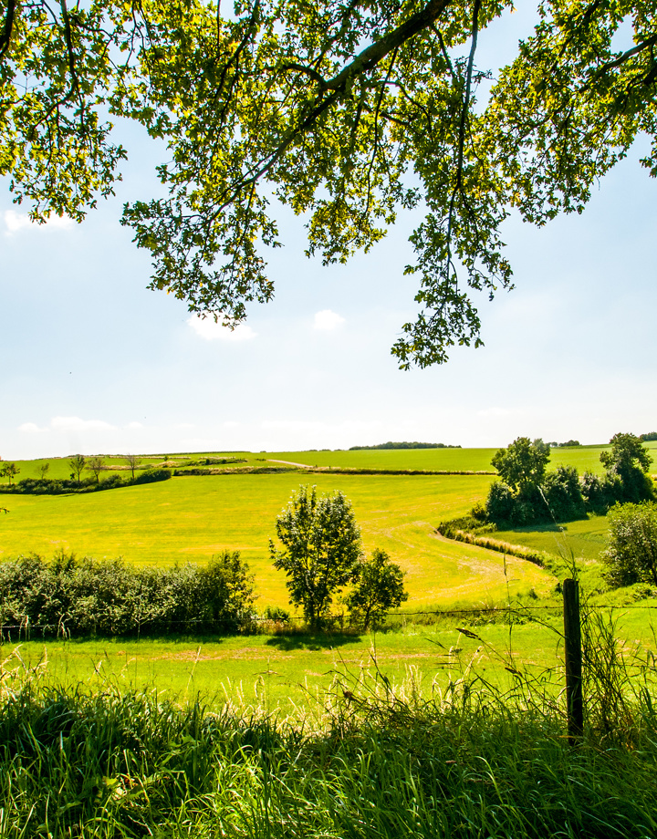 Foto met prachtig zonovergoten heuvellandschap in Elkenrade