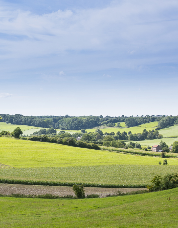 Glooiend heuvellandschap in de buurt van Wijlre en Gulpen