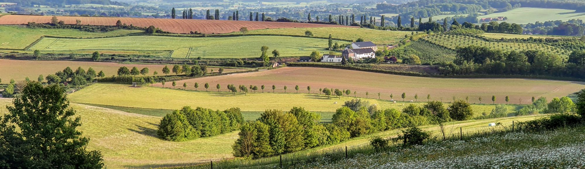 Landschapsfoto vanaf de Eyserbosweg op de 'Toscana' in Nederland