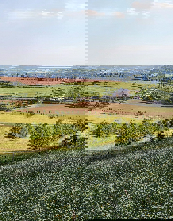 Landschapsfoto vanaf de Eyserbosweg op de 'Toscana' in Nederland