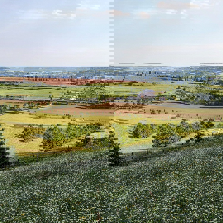 Landschapsfoto vanaf de Eyserbosweg op de 'Toscana' in Nederland