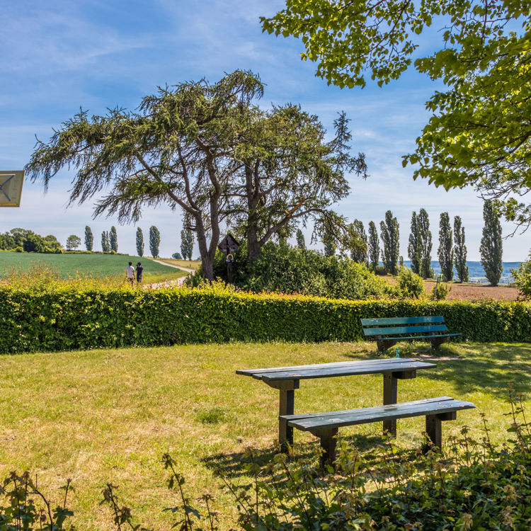 Schaduwrijke picknickplek op grasveld met achterliggende haag en twee wandelaars in Eys