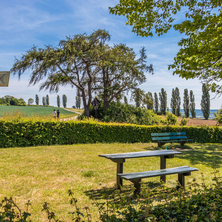 Schaduwrijke picknickplek op grasveld met achterliggende haag en twee wandelaars in Eys