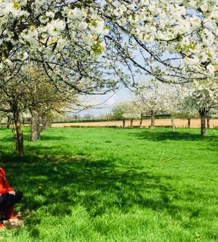 Blog Jenneke Hallo Lente zittend onder boom met bloesem