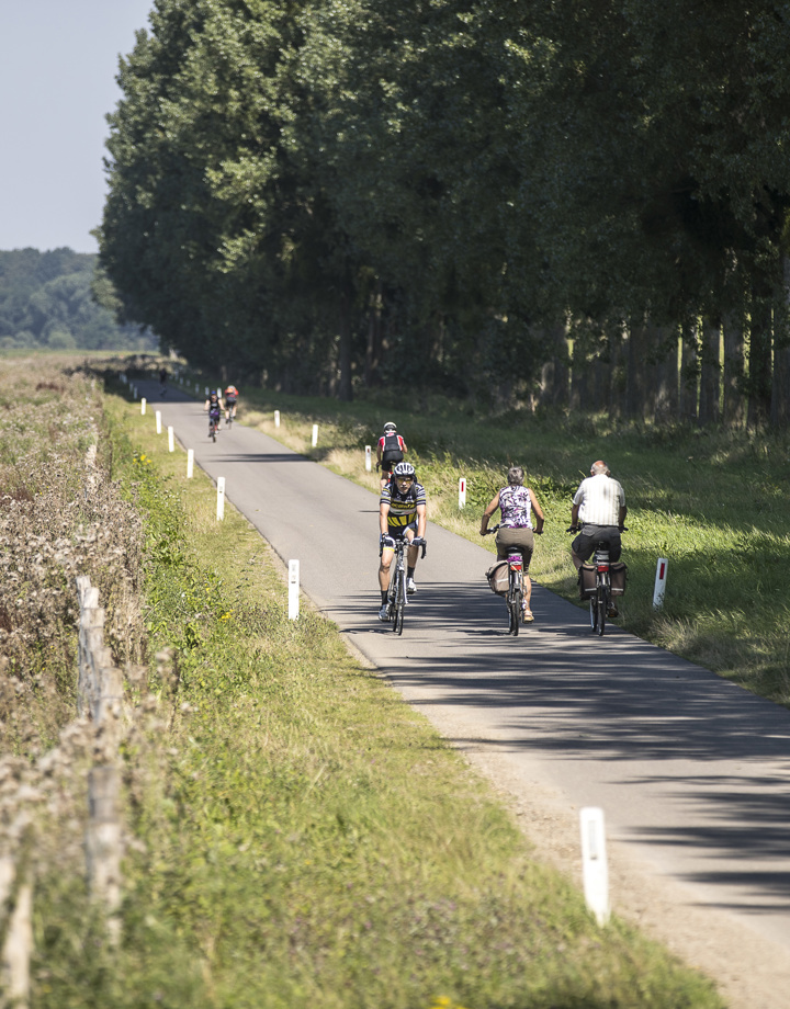 Een aantal fietsers fietsen over een verharde weg door het Rivierpark Maasvallei