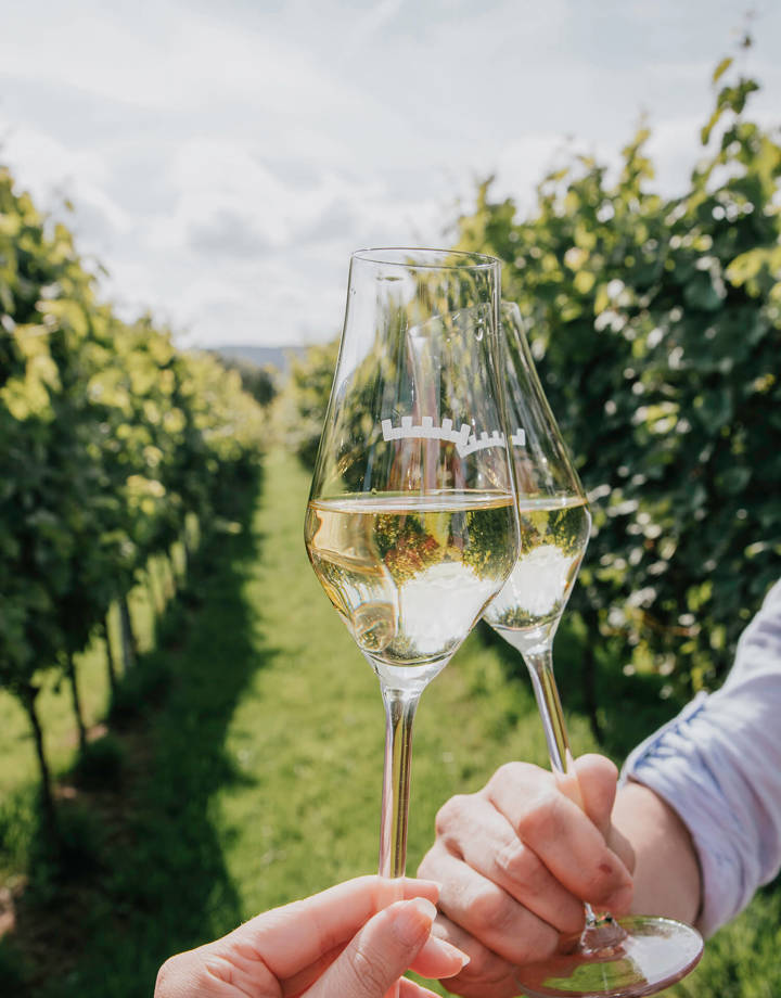 Uitzicht van wijngaard en op de voorgrond twee glazen witte wijn.