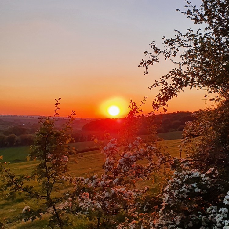 uitzicht-selzerbeekdal-bij-zonsondergang_1.jpg?width=750&height=750&rnd=133600606977970000