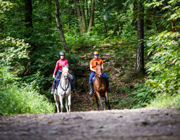 Samen Paardrijden In Het Bos