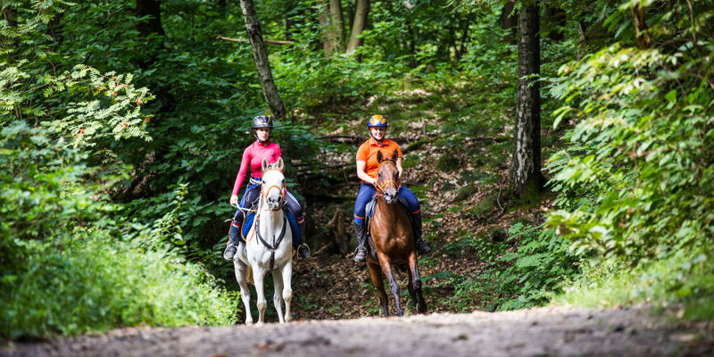 Samen Paardrijden In Het Bos