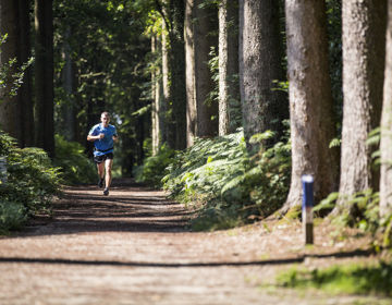Een man loopt hard over het joggingsparcour in het vijlenerbos