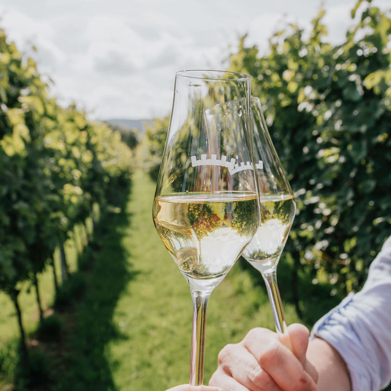 Glazen proosten tussen wijnranken met uitzicht Domein Holset witte wijn