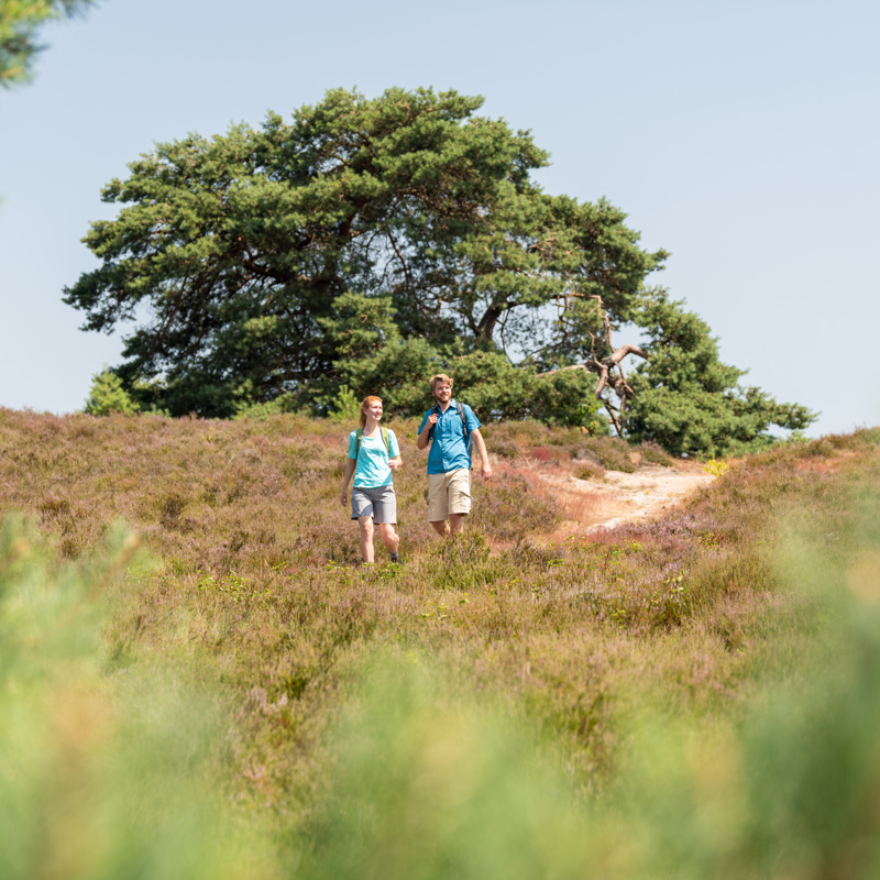 Ontdek nieuwe wandelingen in Zuid-Limburg | Visit Zuid-Limburg