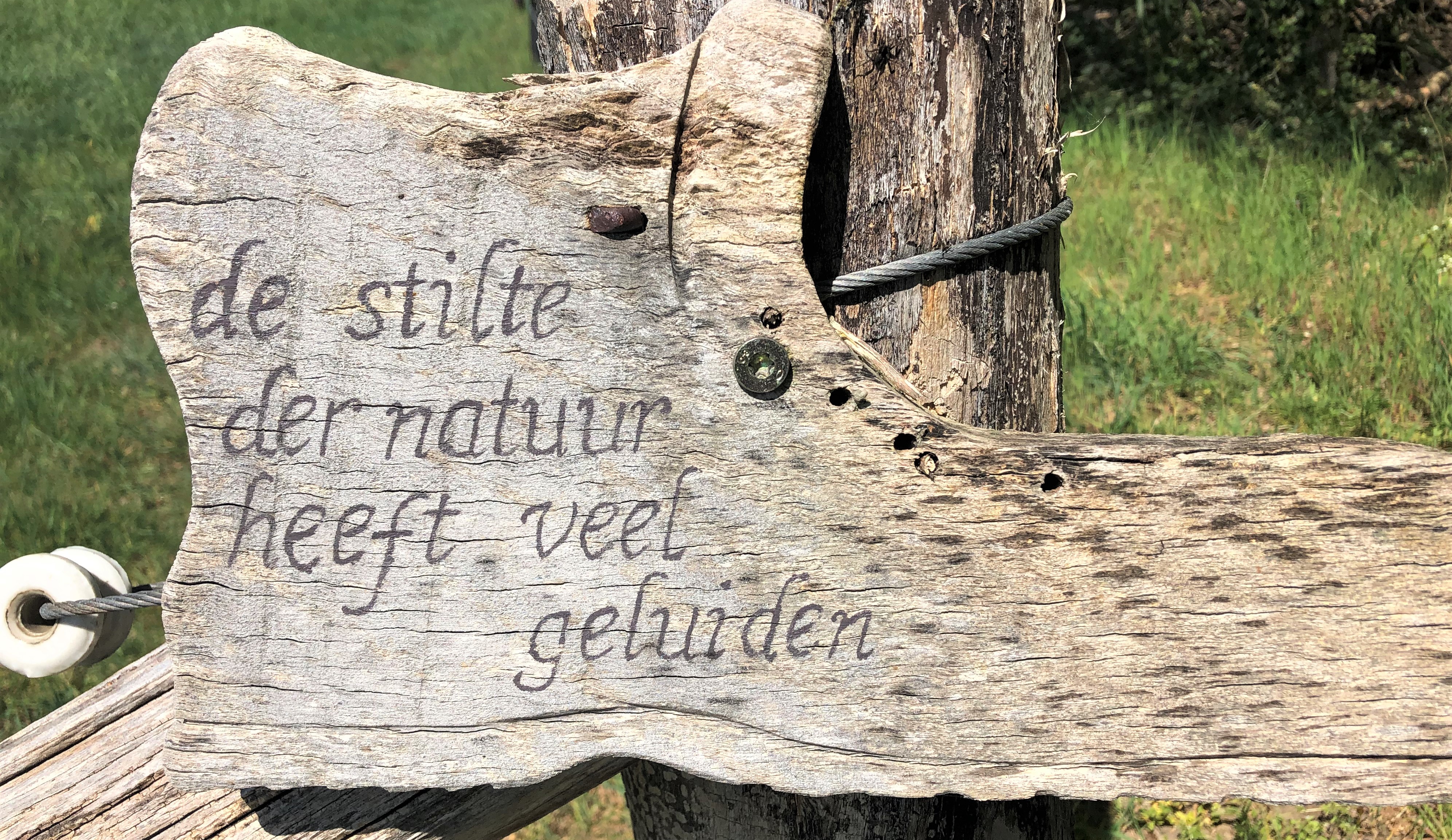 Blog Stilte buiten het stiltegebied