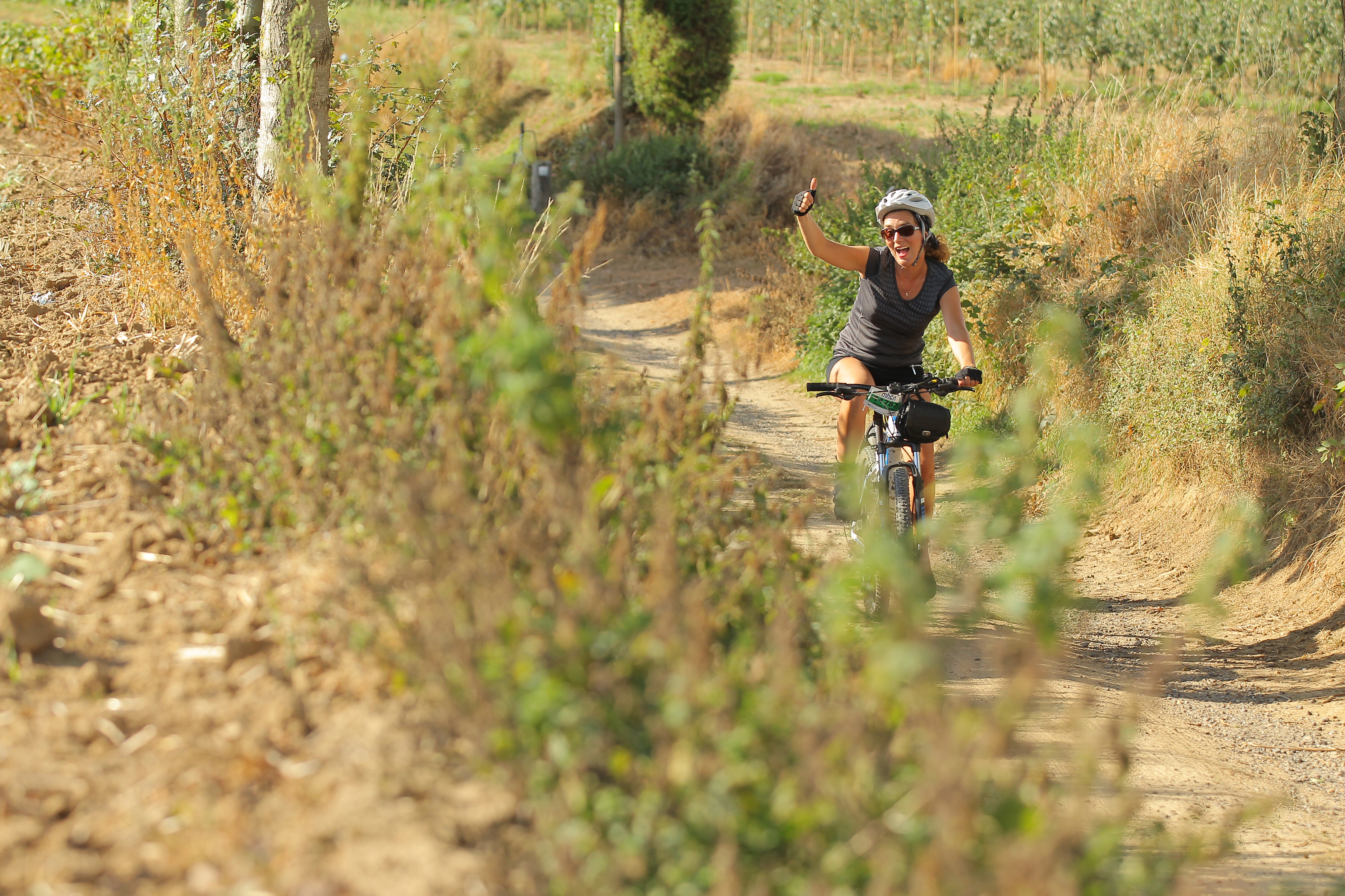 Alle evenementen in ZuidLimburg op een rij