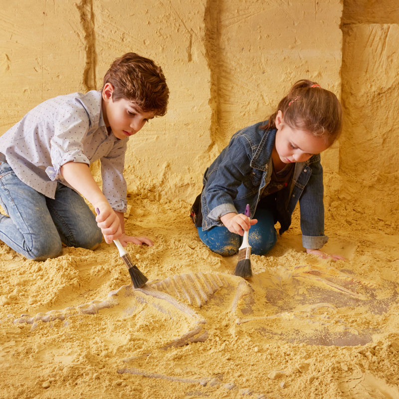 Kinderen ontdekken fossiel in het mergel van Mergelrijk