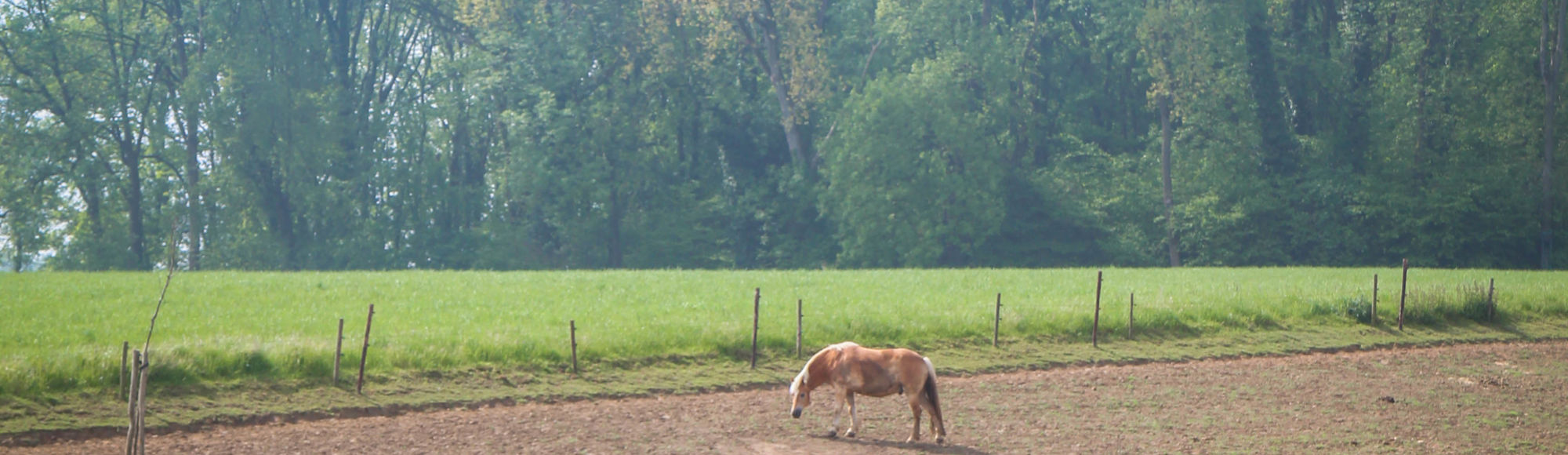 Kind rijdt op pony bij Farmcaps 