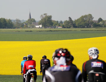 wielrennen geel veld korenbloem groep