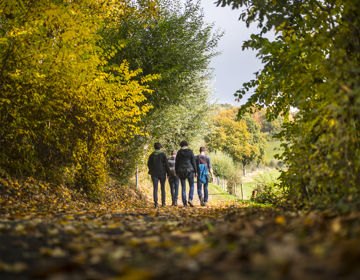 Jongens lopen door de bossen over de herfstbladeren