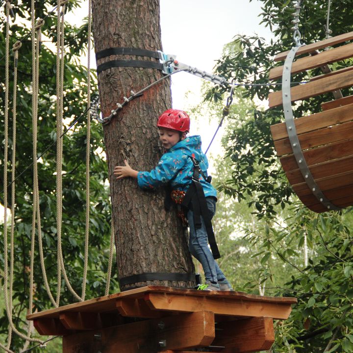 Jongen klampt zich vast aan een boom tijdens het klimmen in het klimpark