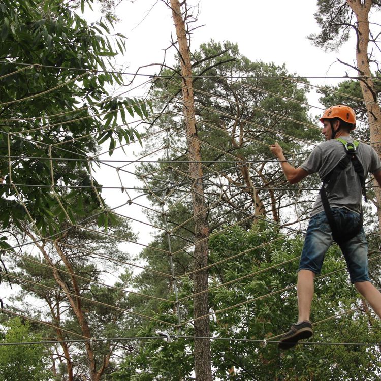 Man klimt via en touw door het bos in Park het Plateau