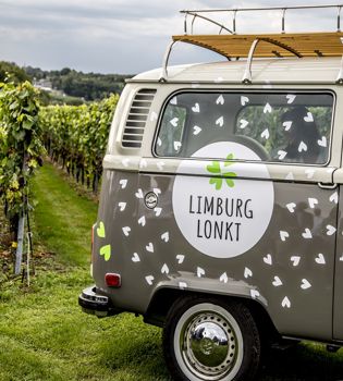 Limburg Lonkt Busje In Wijngaard