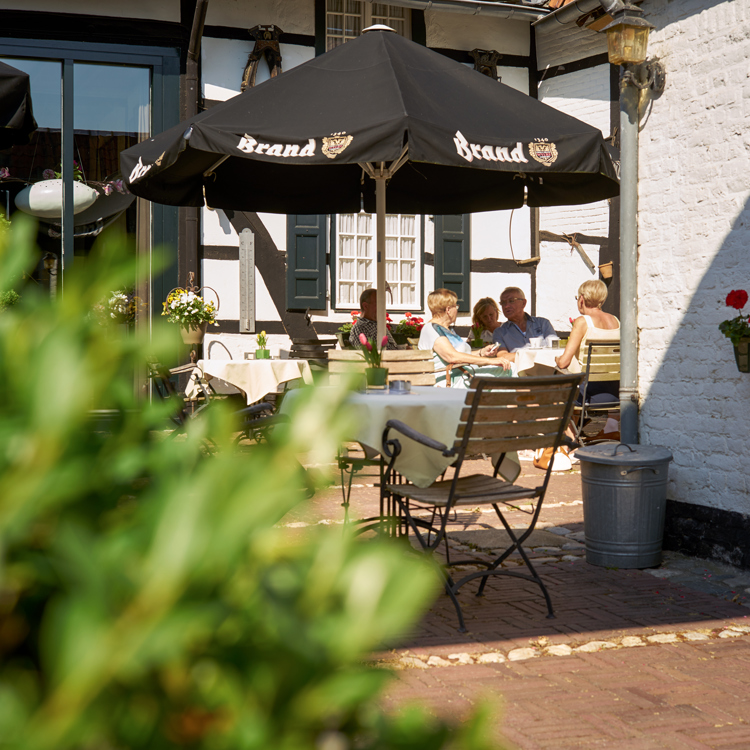 Een struik met in de verte mensen op het terras bij Hoeve de Plei