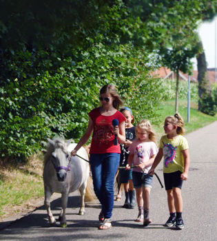 Vrouw en drie kinderen wandelen met een kleine pony