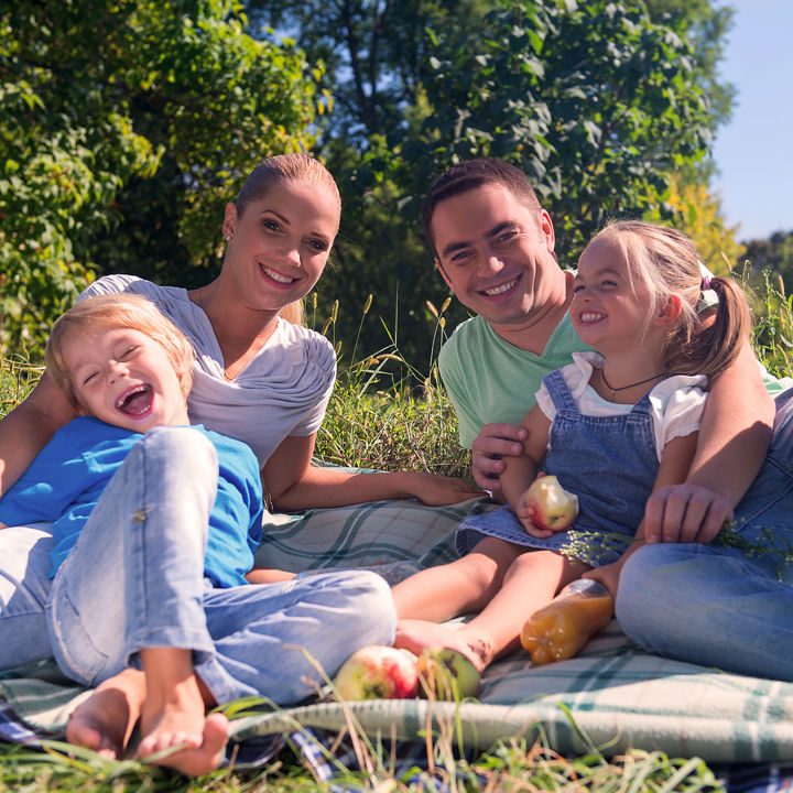 Familie met vader, moeder en twee kinderen genieten van een picknick (stockfoto)