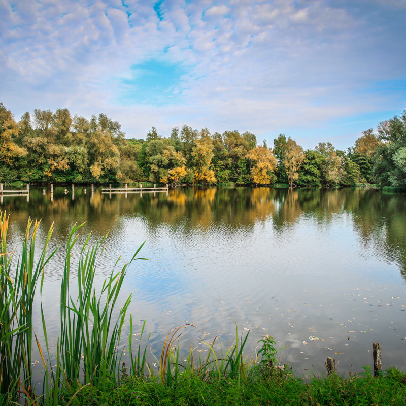 Een uitkijk op een meer met prachtige herfstbomen