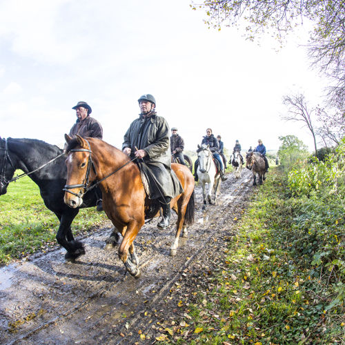 Groep met paardrijders op een pad