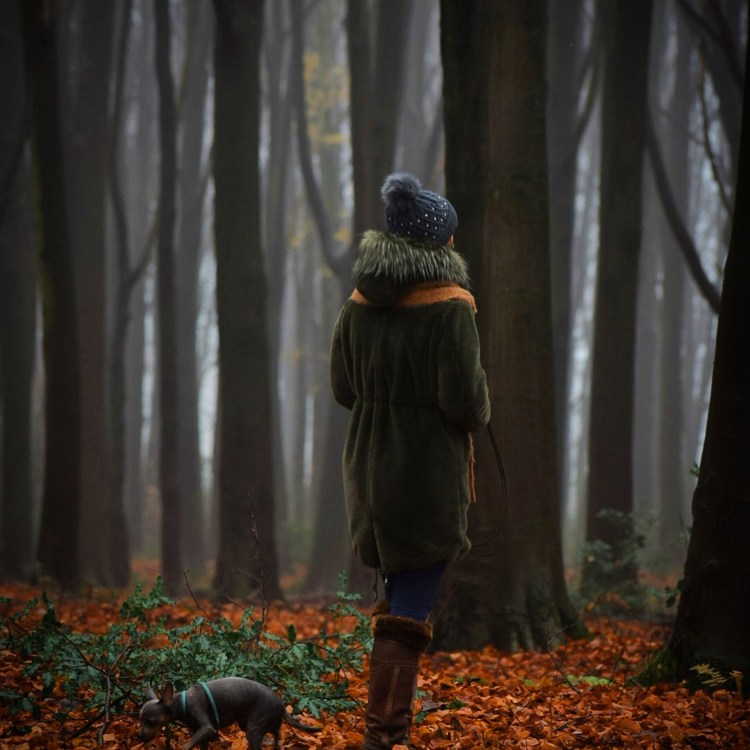 Een meisje loopt met haar hond door de gevallen herfstbladeren tussen de hoge boemen in het bos