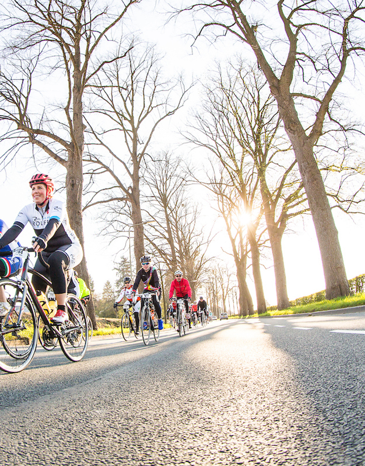 Een groep wielrenners op de straat tussen de kale bomen
