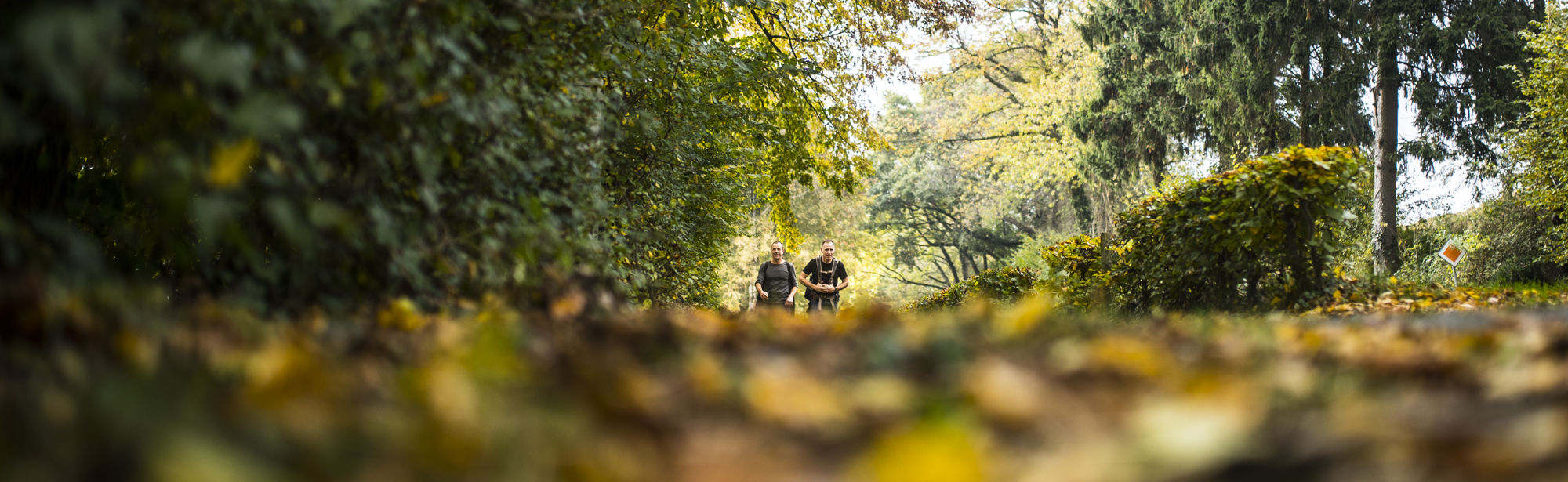 Twee wandelaars lopen over een pad bedekt met herfstbladeren