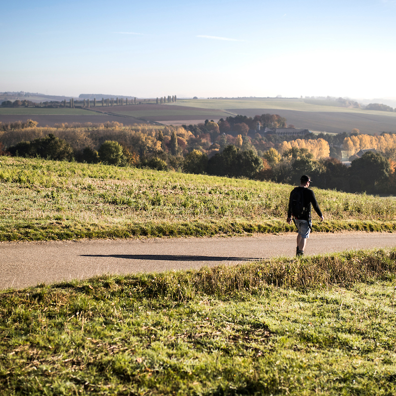 Herfstwandeling met uitzicht op het Heuvellandschap