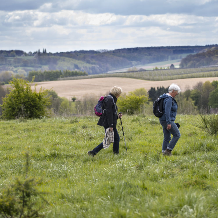 Twee wandelaars lopen door een wei met uitzicht over het Heuvellandschap