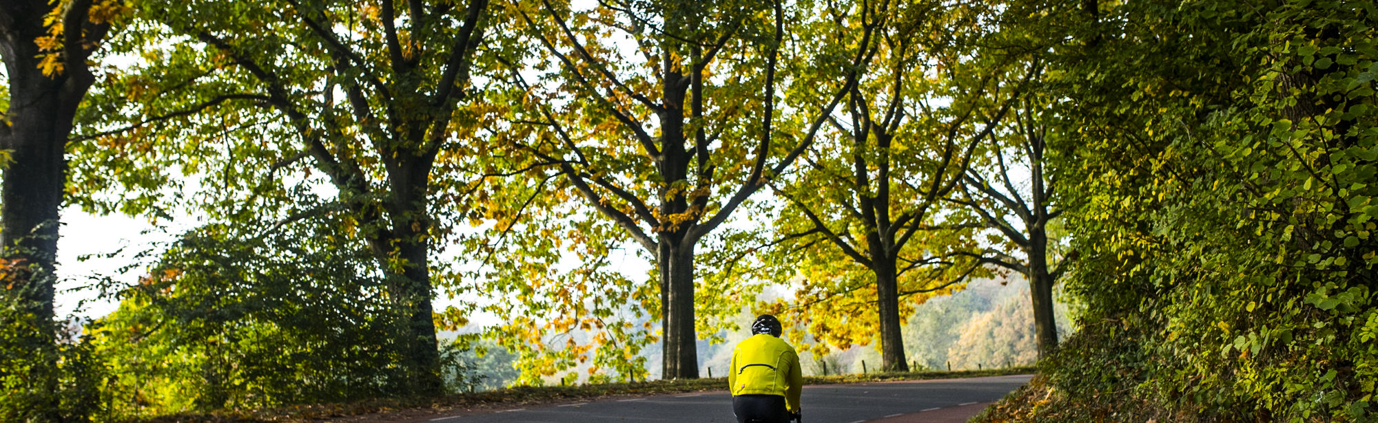 Wielrenner fietst een berg op met herfstbomen als uitzicht
