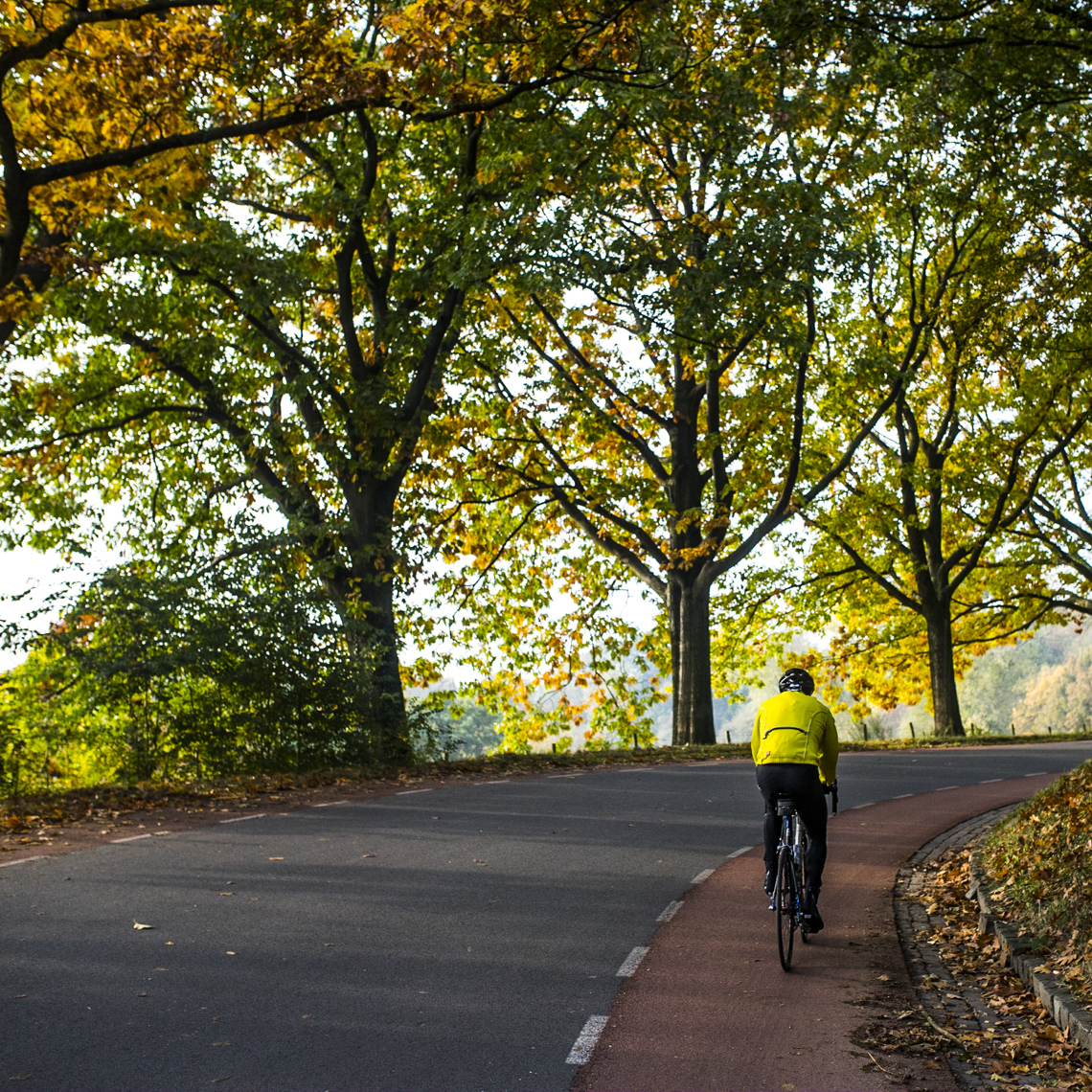 Wielrenner fietst een berg op met herfstbomen als uitzicht