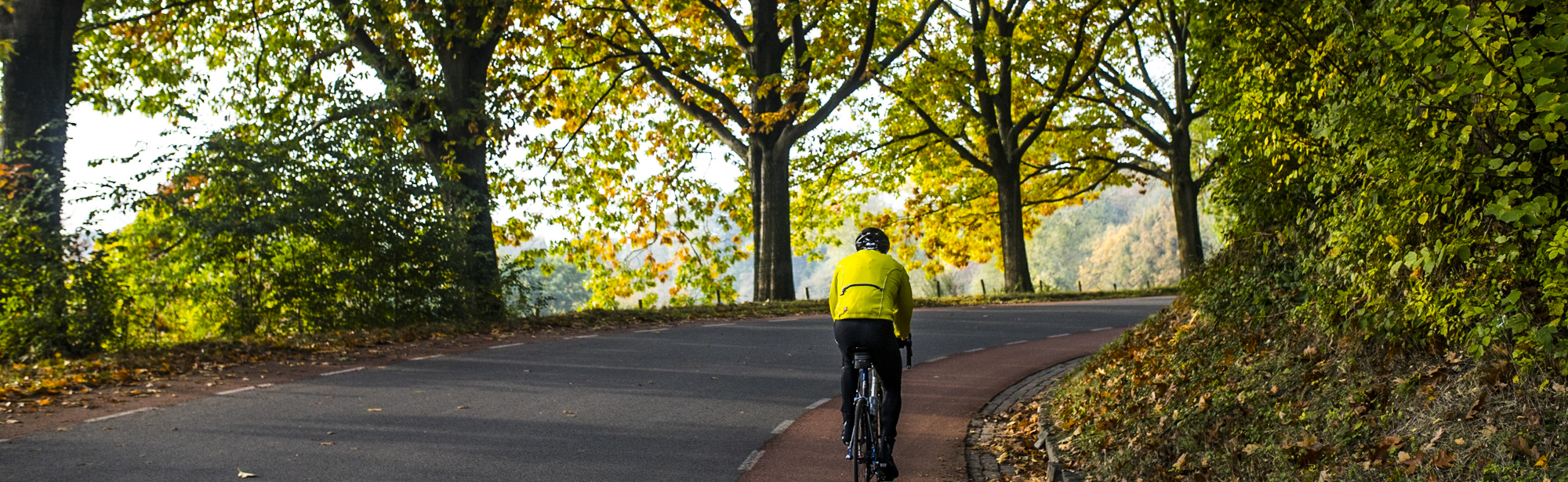 Wielrenner fietst een berg op met herfstbomen als uitzicht