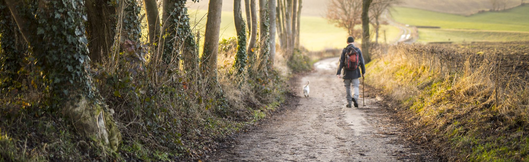 Man loopt samen met zijn hond door de natuur