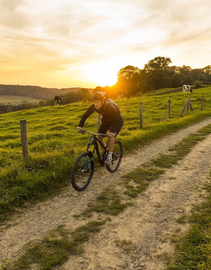 Mountainbiker over pad langs koeien op de Epen-Vijlen route